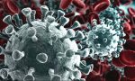 Coronavirus: i nuovi casi rilevati dalla Protezione Civile