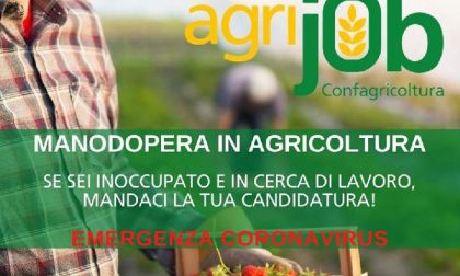 Lavoro in agricoltura: una piattaforma per trovarlo