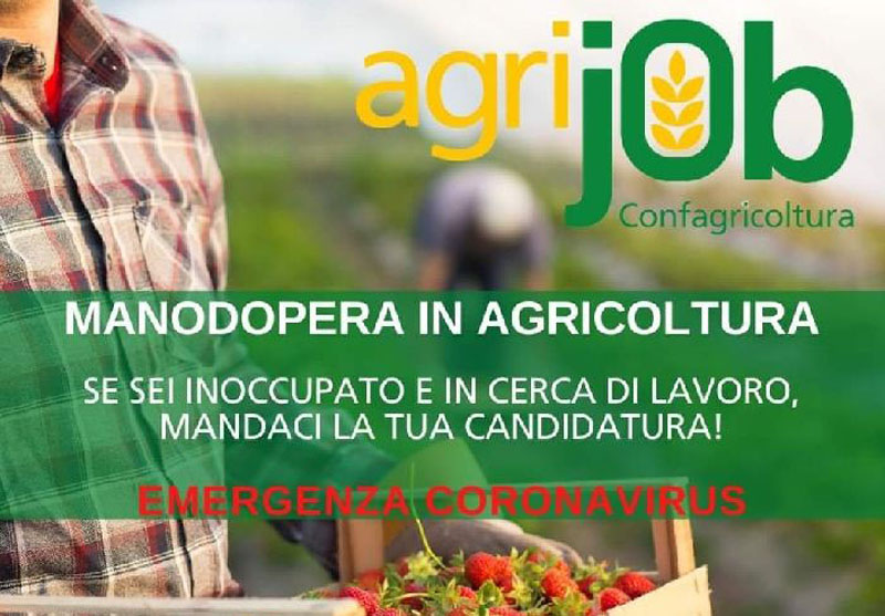 Lavoro in agricoltura: una piattaforma per trovarlo