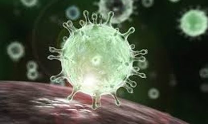 Coronavirus: Vercelli a un soffio dai zero contagi