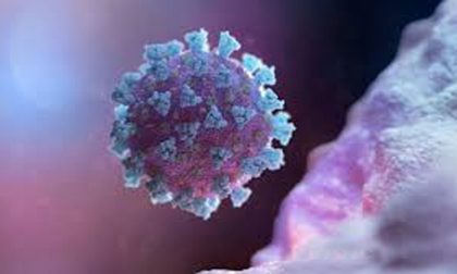 Coronavirus: un decesso e un solo contagio nel vercellese