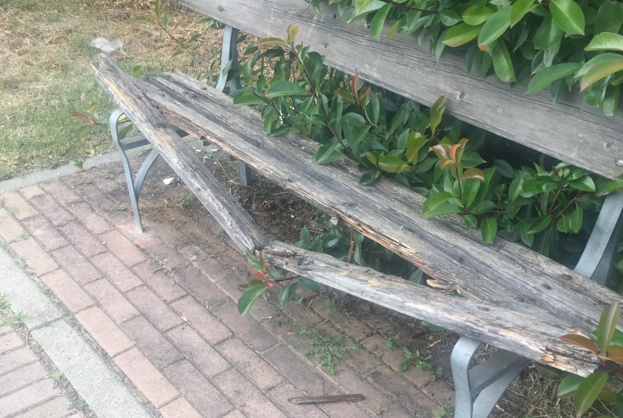 Panchine rotte o “inghiottite” dalla vegetazione