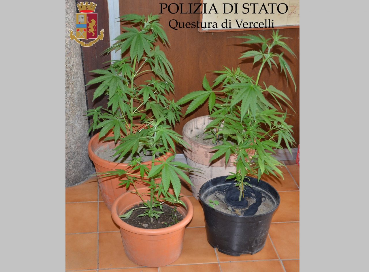 Fidanzati ricercati nascosti in un casolare
