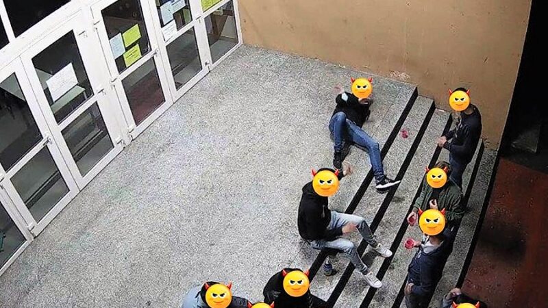 I porcellini di Gattinara: mangiano e lasciano i resti per strada
