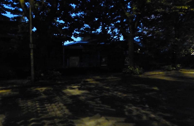 Alberi da potare: in corso Rigola lampioni coperti dai rami