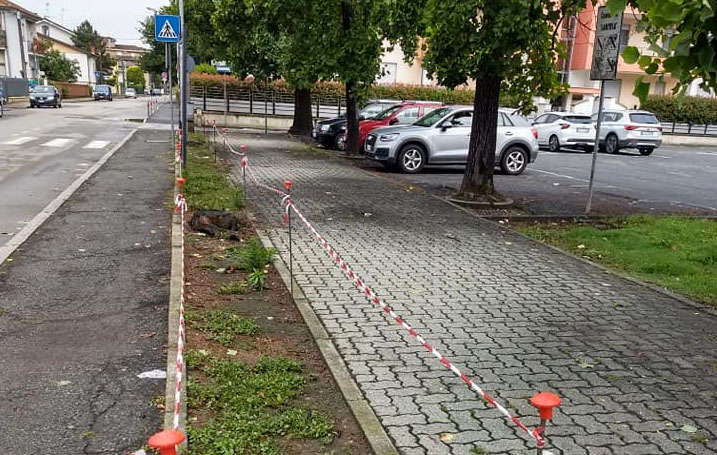 Nuovi alberi in piazza Aldo Moro e via Dante