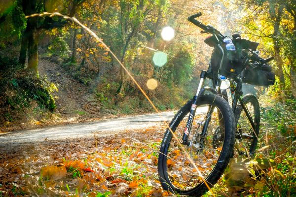 E-motion land. Un territorio tutto da vivere…a ritmo slow