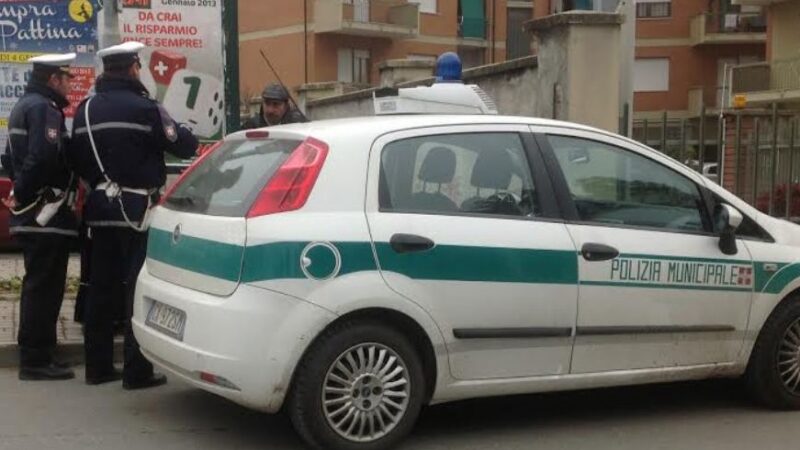 Punta dai calabroni: salvata grazie ai vigili urbani