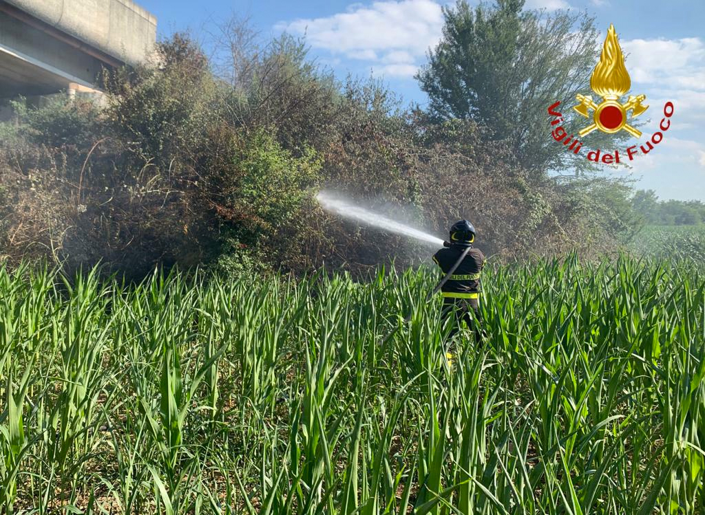 Doppio intervento dei Vigili del Fuoco per incendio sterpaglie