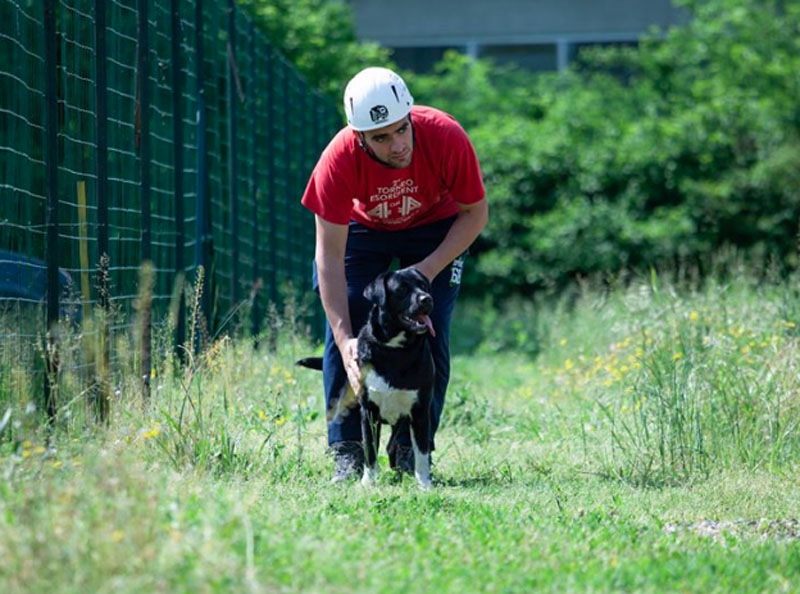 Mondiali Cani di Soccorso: selezioni a cura dei volontari di Palazzolo