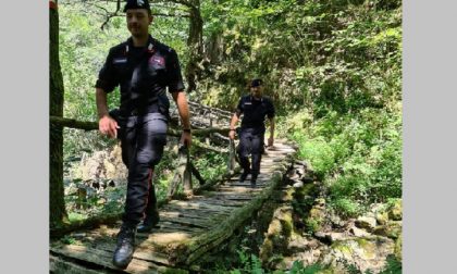 Nei boschi a caccia di ossa umane