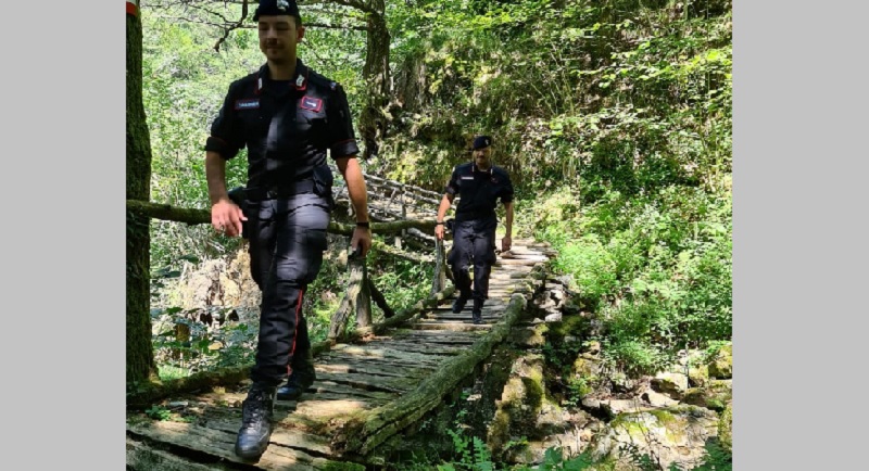 Nei boschi a caccia di ossa umane