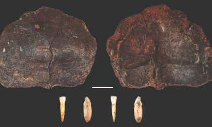 Neanderthal in Valsesia: nuove scoperte alla Ciota Ciara