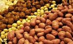 Patate magiche: semplici e sfiziose