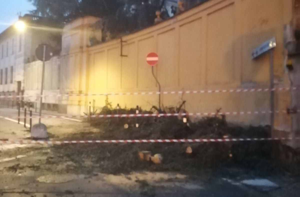 Albero caduto chiusa via Tribunale – video