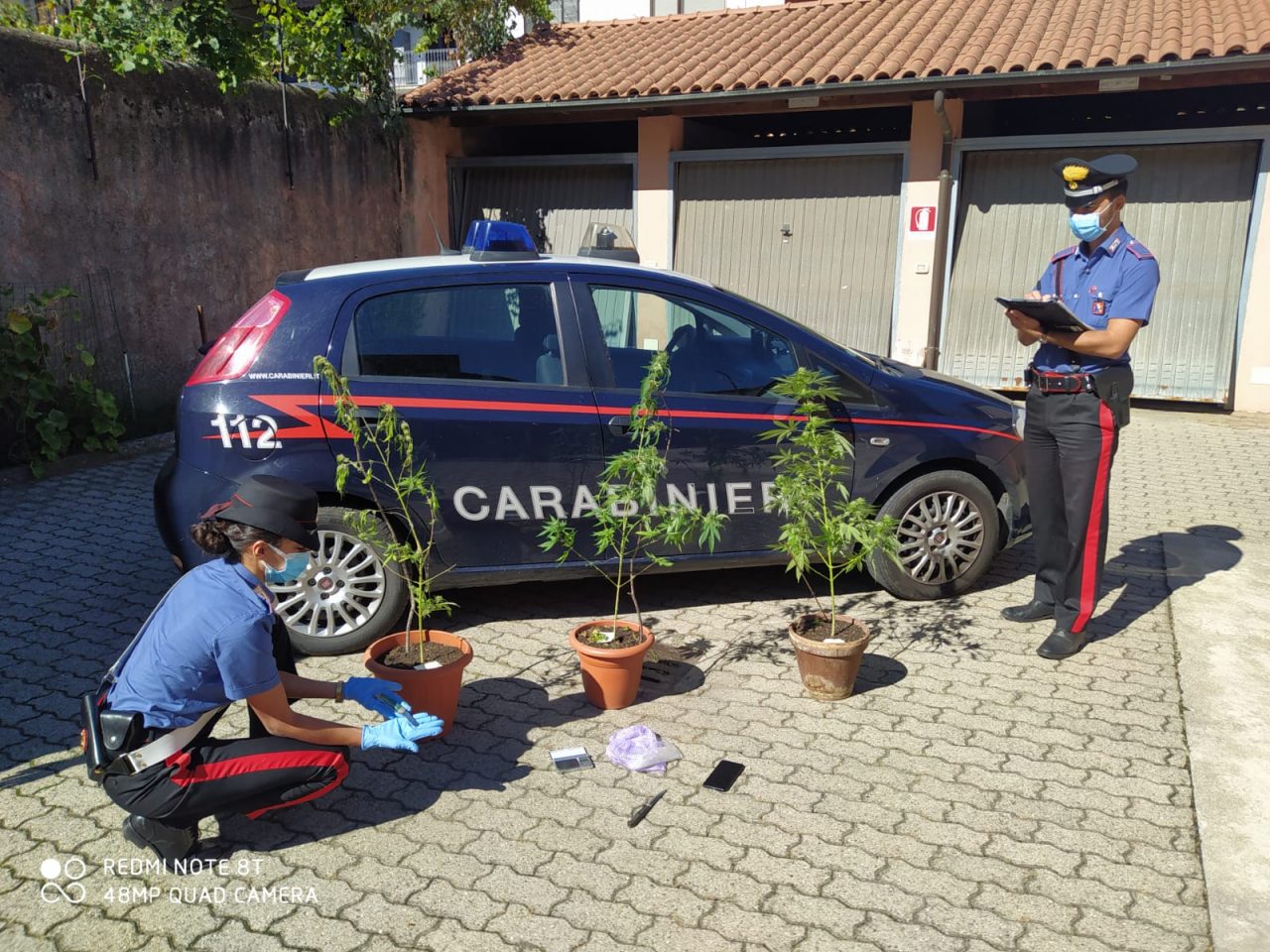 Piante di marijuana in casa: arrestato