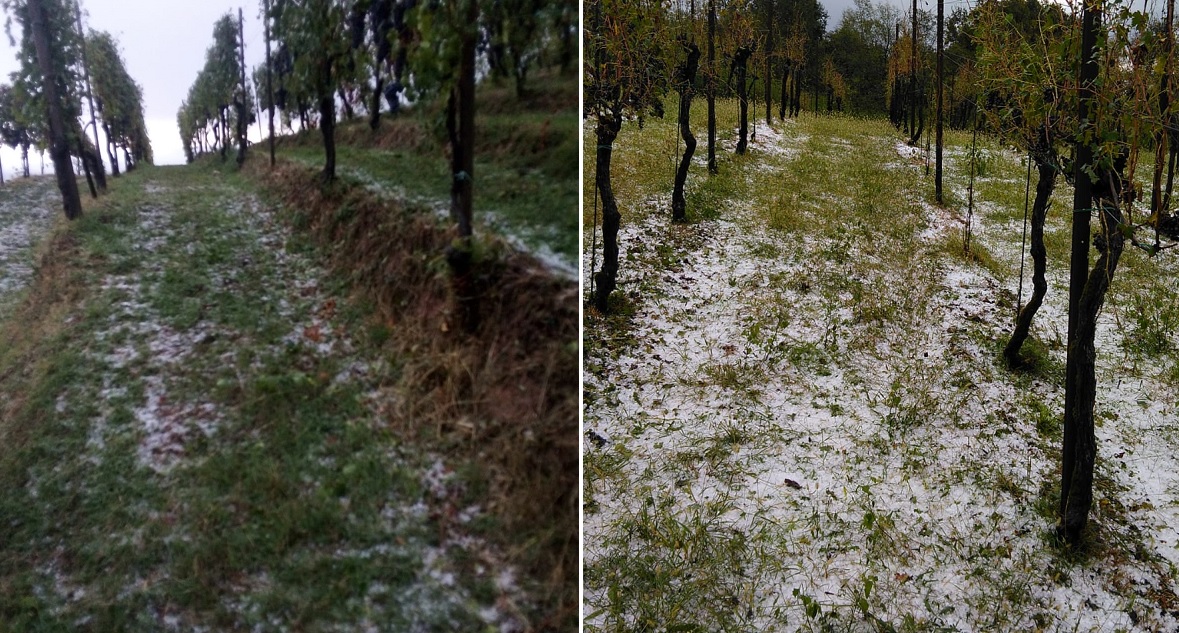 Grandine sui vigneti e qualche danno nel Vercellese