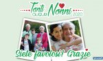 La Festa dei Nonni sta arrivando! Fai un augurio speciale con Notizia Oggi Vercelli