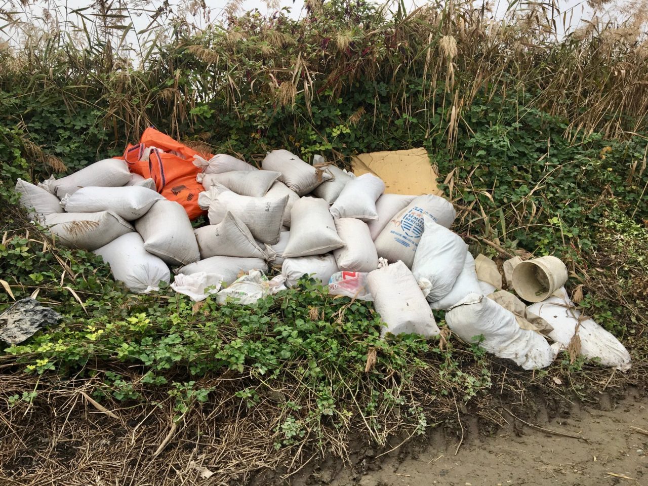 Quintali di lolla abbandonati nelle campagne di Lignana