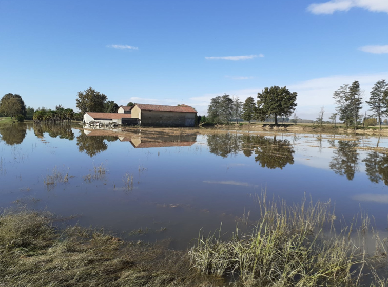 Disastro agricoltura: decine di milioni di danni