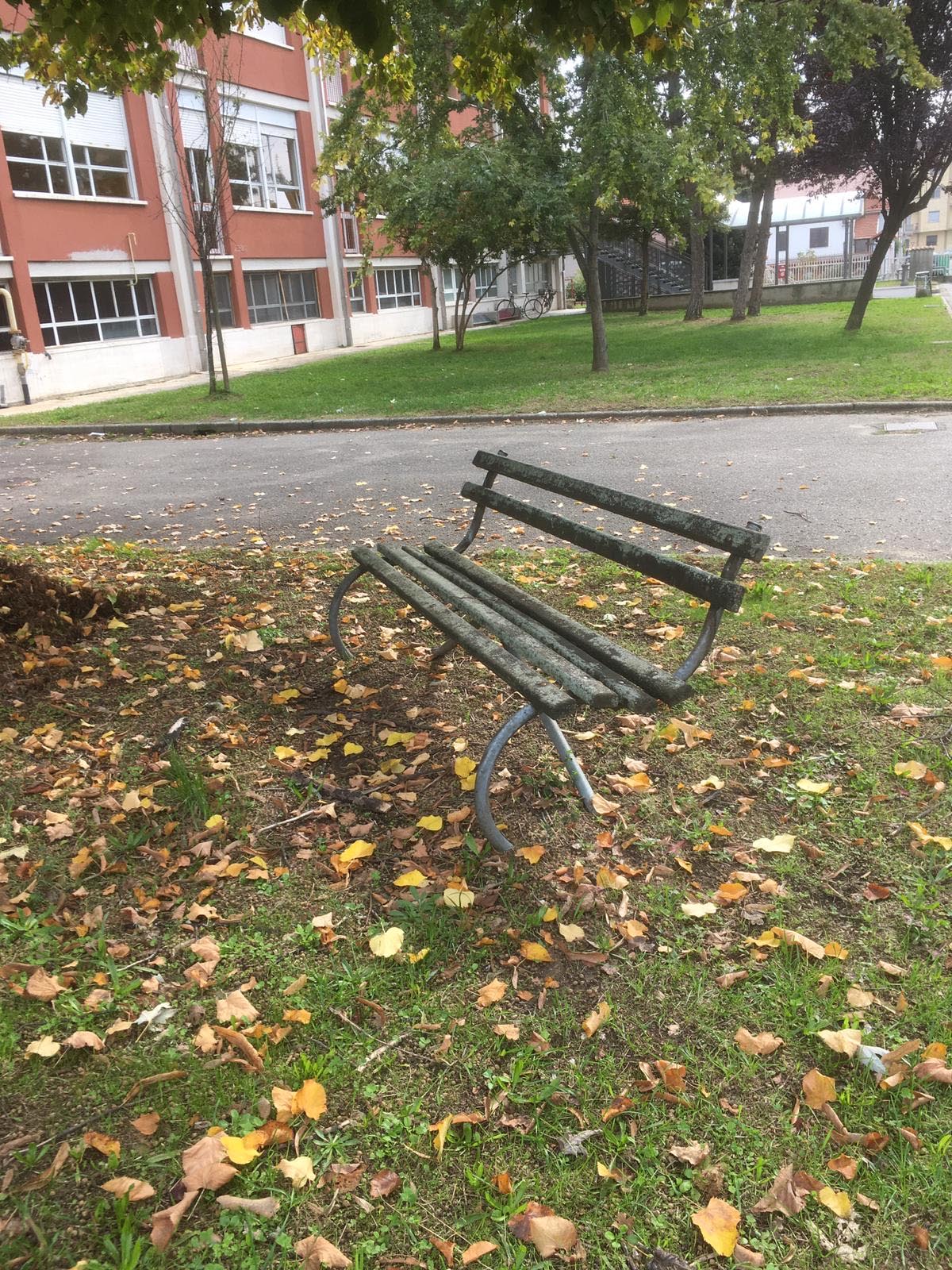 panchine dietro scuola alciati