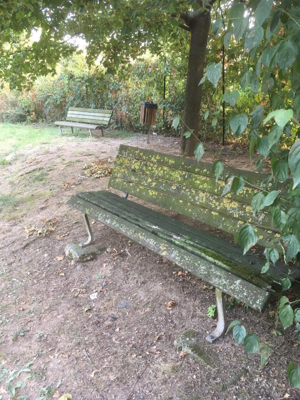 Panchine in città e parco Masih: situazione indecorosa
