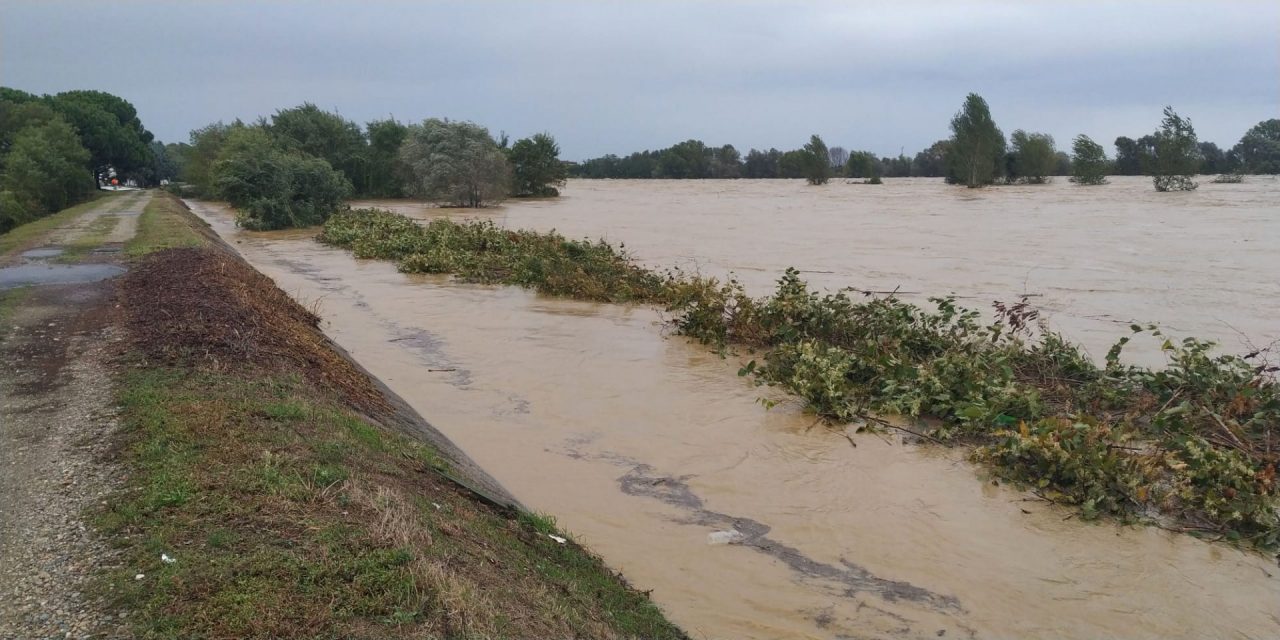 La piena del Sesia: il video sull’argine