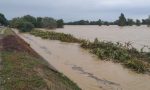 La piena del Sesia: il video sull'argine