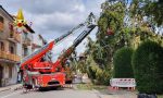 Gattinara: albero cade sui cavi elettrici