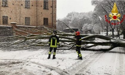 La nevicata: tanti danni per un evento normale