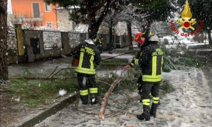 Quaranta interventi per i danni della neve