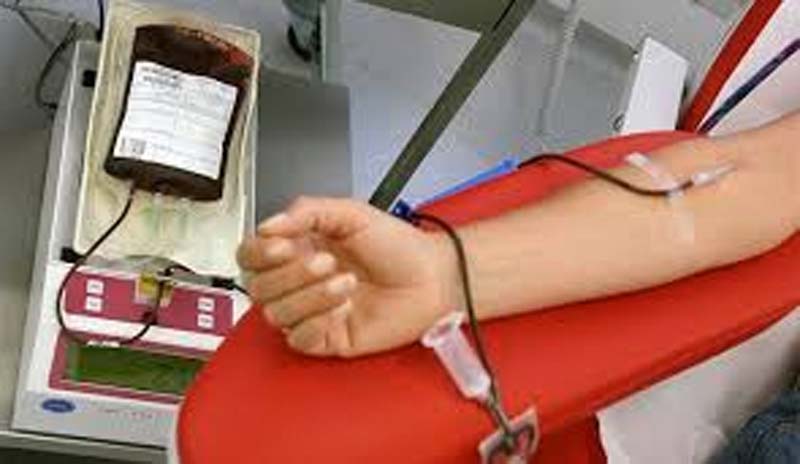 Avis Vercelli: “Grazie ai soci donatori”