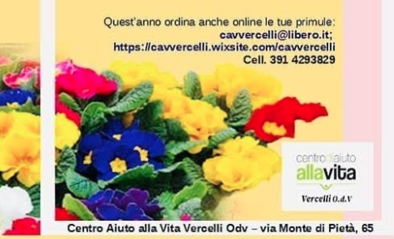 Tornano le Primule per la vita, prenotabili via mail