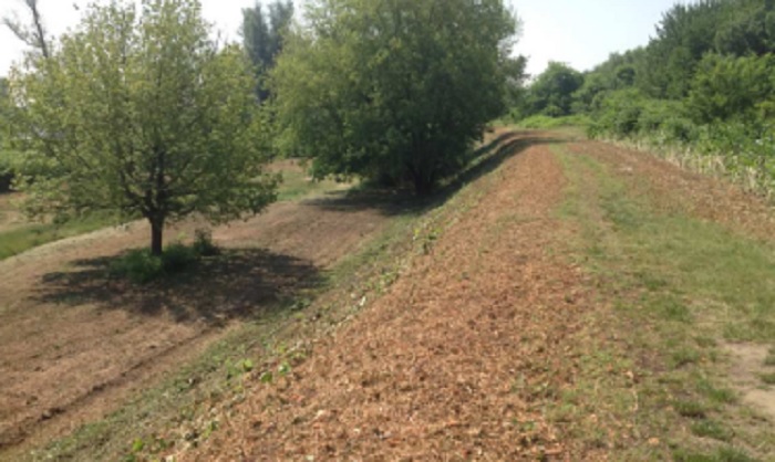 Parco Korczak: 225.000 euro per riqualificare l’area