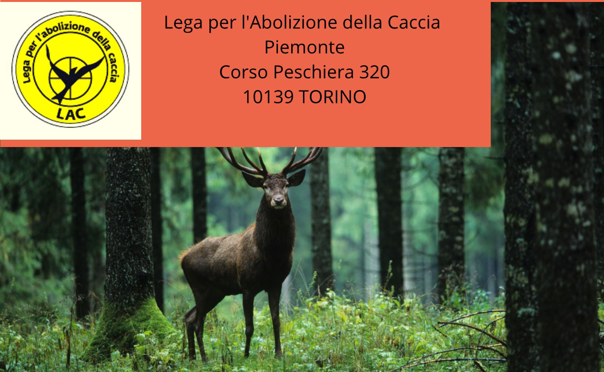 Al via il corso di formazione per Guardie Venatorie Volontarie