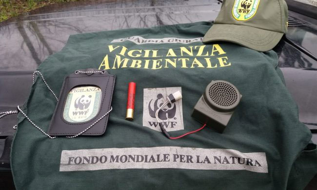 Wwf: “Il Covid ha confermato la forte commistione tra politica e lobby dei cacciatori”