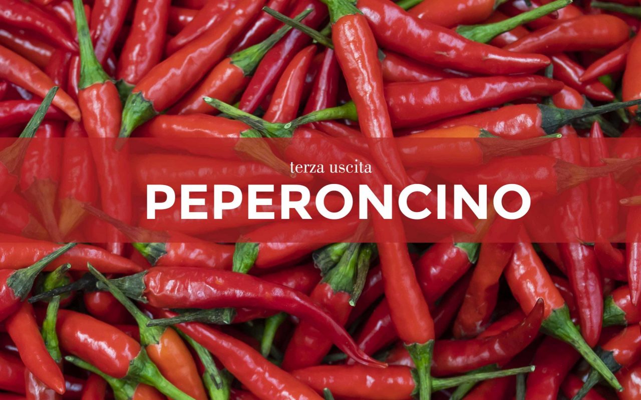 Tutti ortisti: in edicola con Notizia Oggi Vercelli i semi di peperoncino