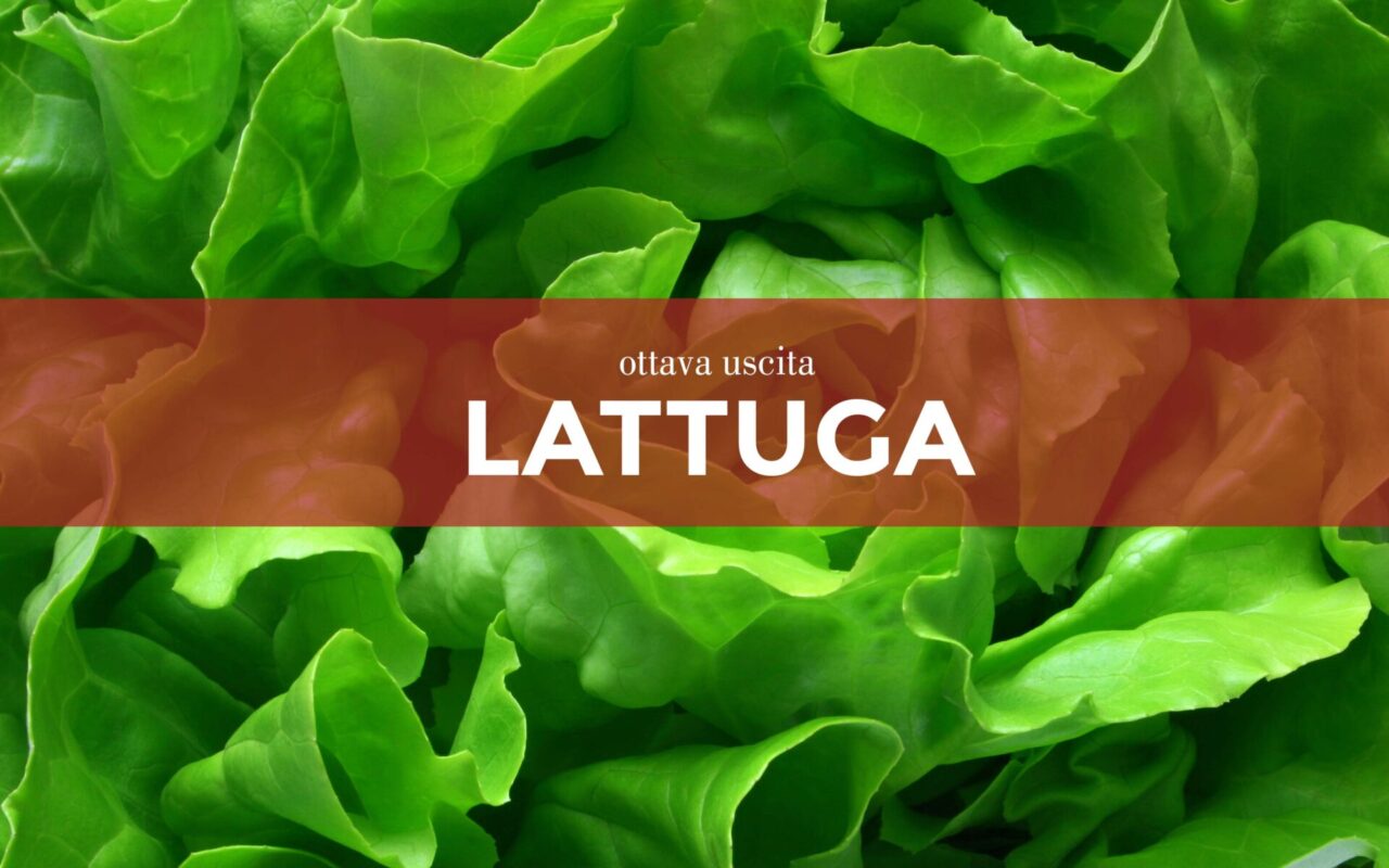 Facciamo l’orto in casa: tutte le dritte da sapere