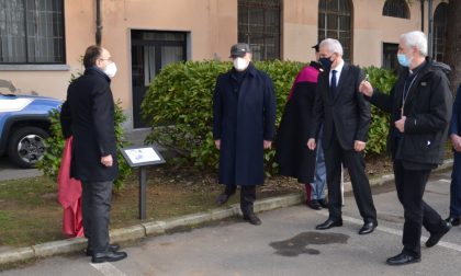 Un albero di camelia e una targa nel giardino della Questura per Giovanni Palatucci