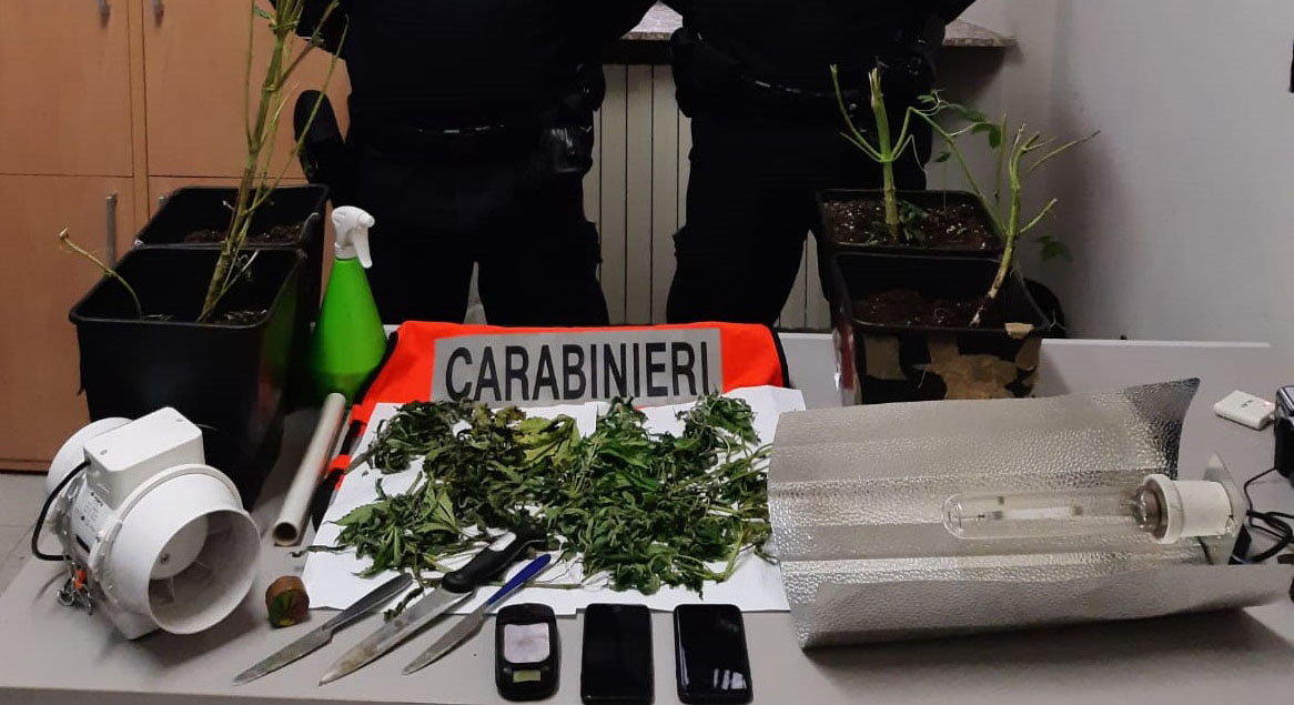Saluggia, coltivava marijuana in casa: denunciato