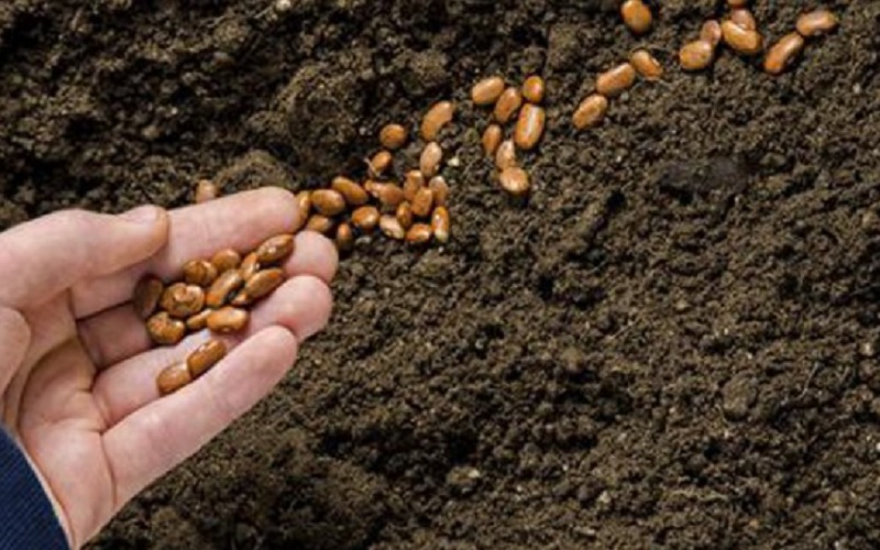 Dalla Regione 10 milioni di euro per i giovani agricoltori