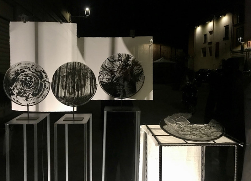 Dantedì: la selva oscura di Daniela Fontanesi in vetrina a Studio 10