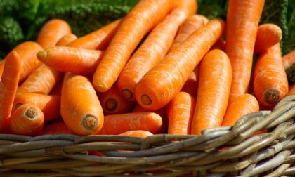 In regalo con il giornale i semi di carota