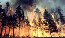Fornace Piemonte: scatta l'allerta massima incendi boschivi