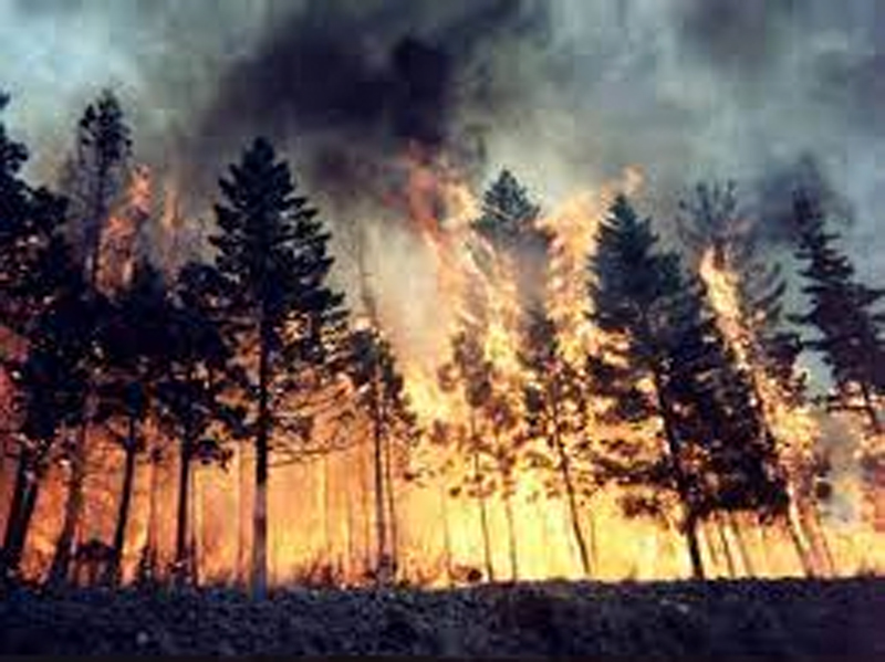 Incendi boschivi: dal 16 gennaio in vigore lo stato di massima pericolosità