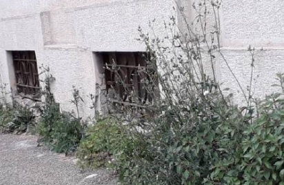 Istituto Cavour circondato da erbacce