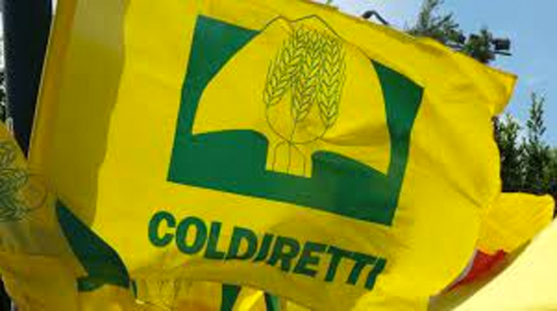 Coldiretti Vercelli-Biella: operazione di solidarietà per le famiglie in occasione della Pasqua