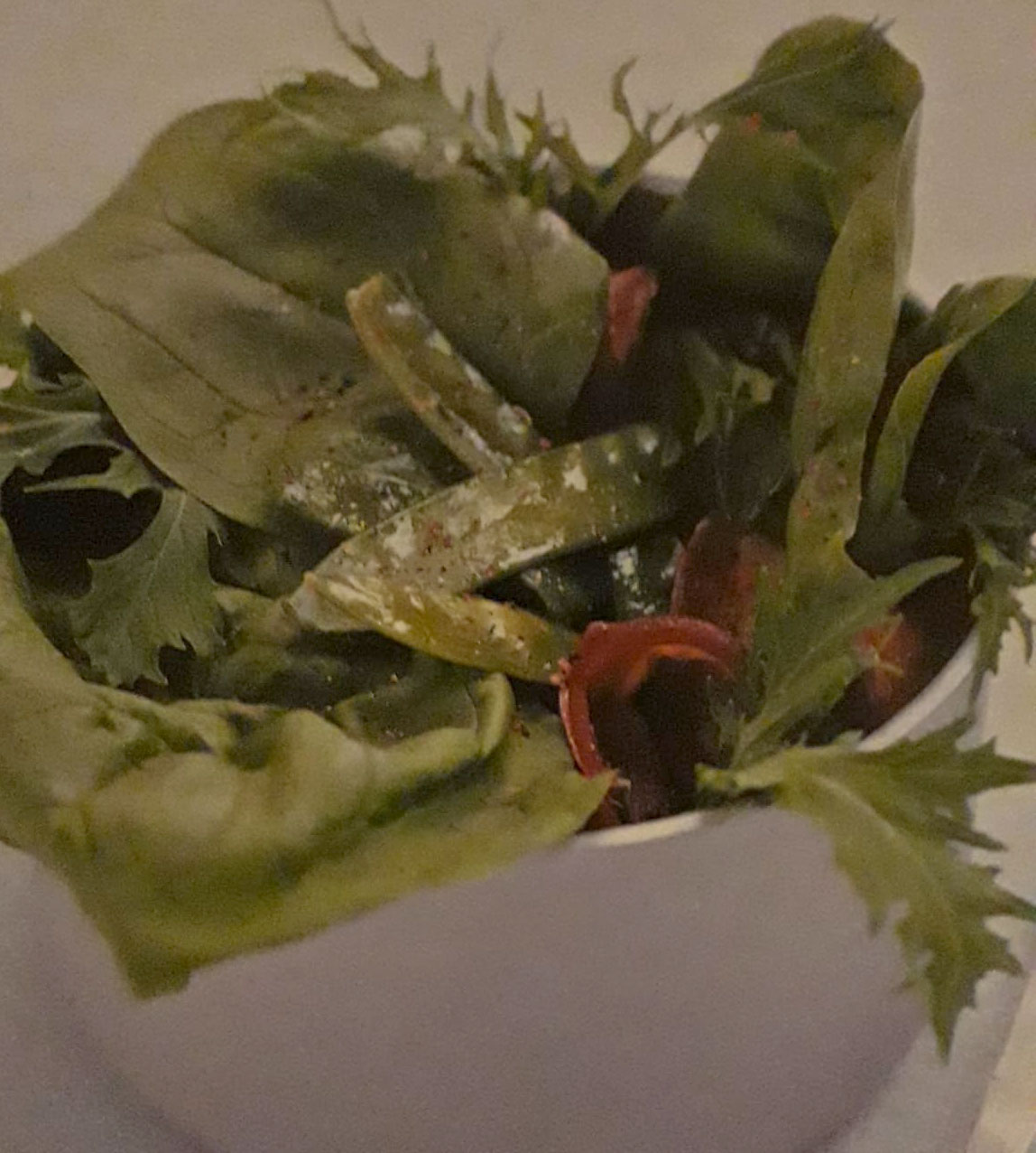 Insalata di taccole, misticanza e petto d’anatra affumicato