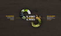 Nascono le Rice&Wine Tasting Experience: il 24 e il 26 giugno nelle Langhe e a Vercelli