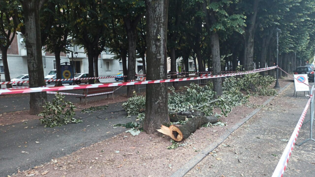 Caduta di rami: la minoranza interroga il sindaco
